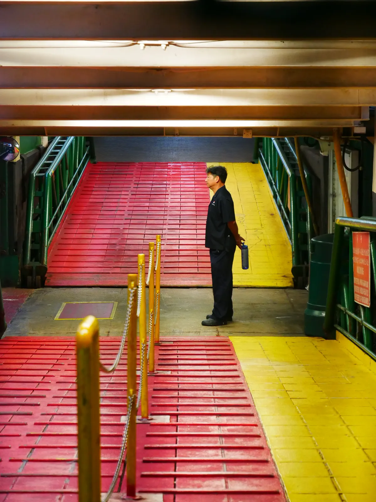 The Guardian of the Ship