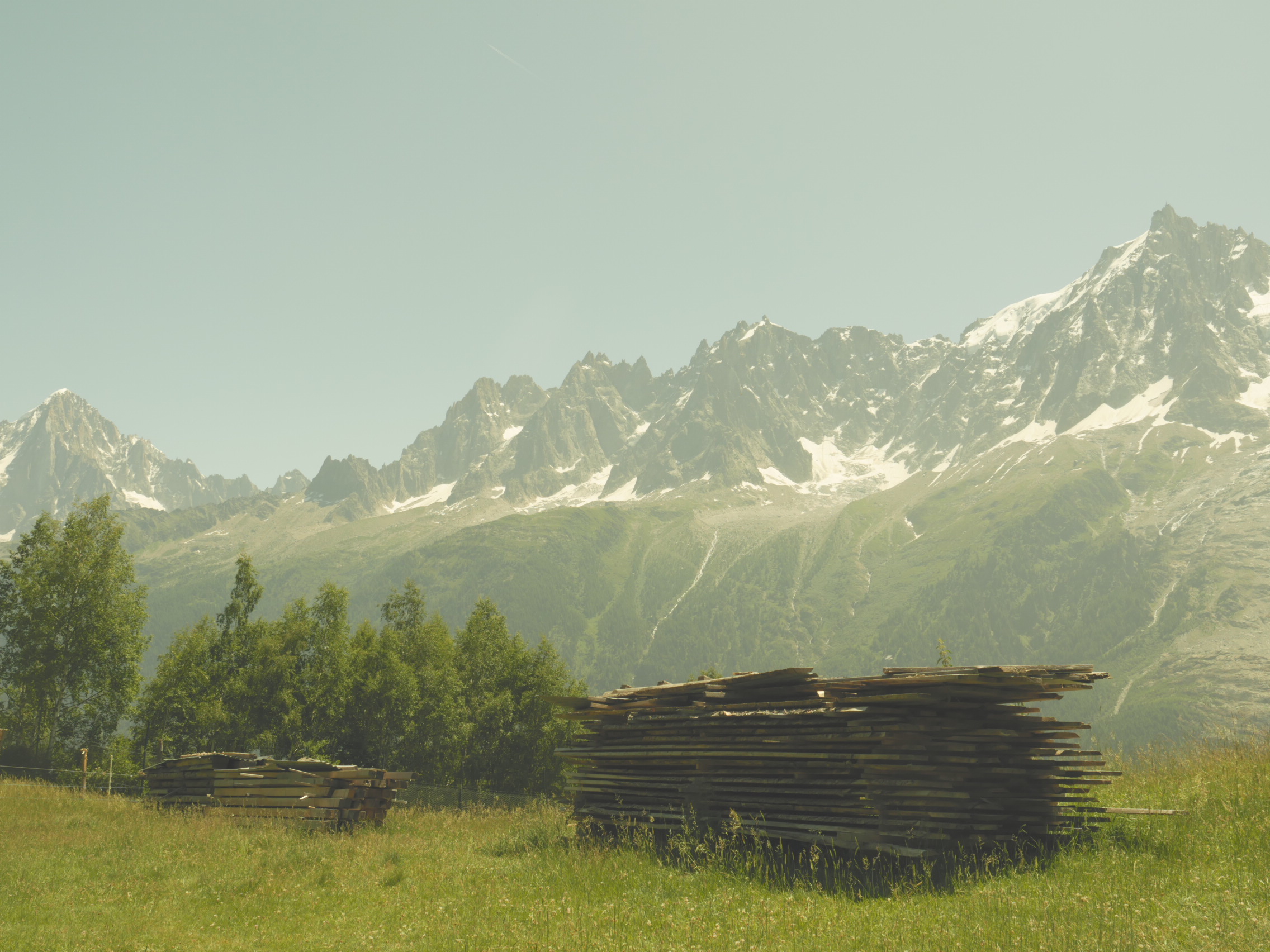 A Lumberjack's Dream