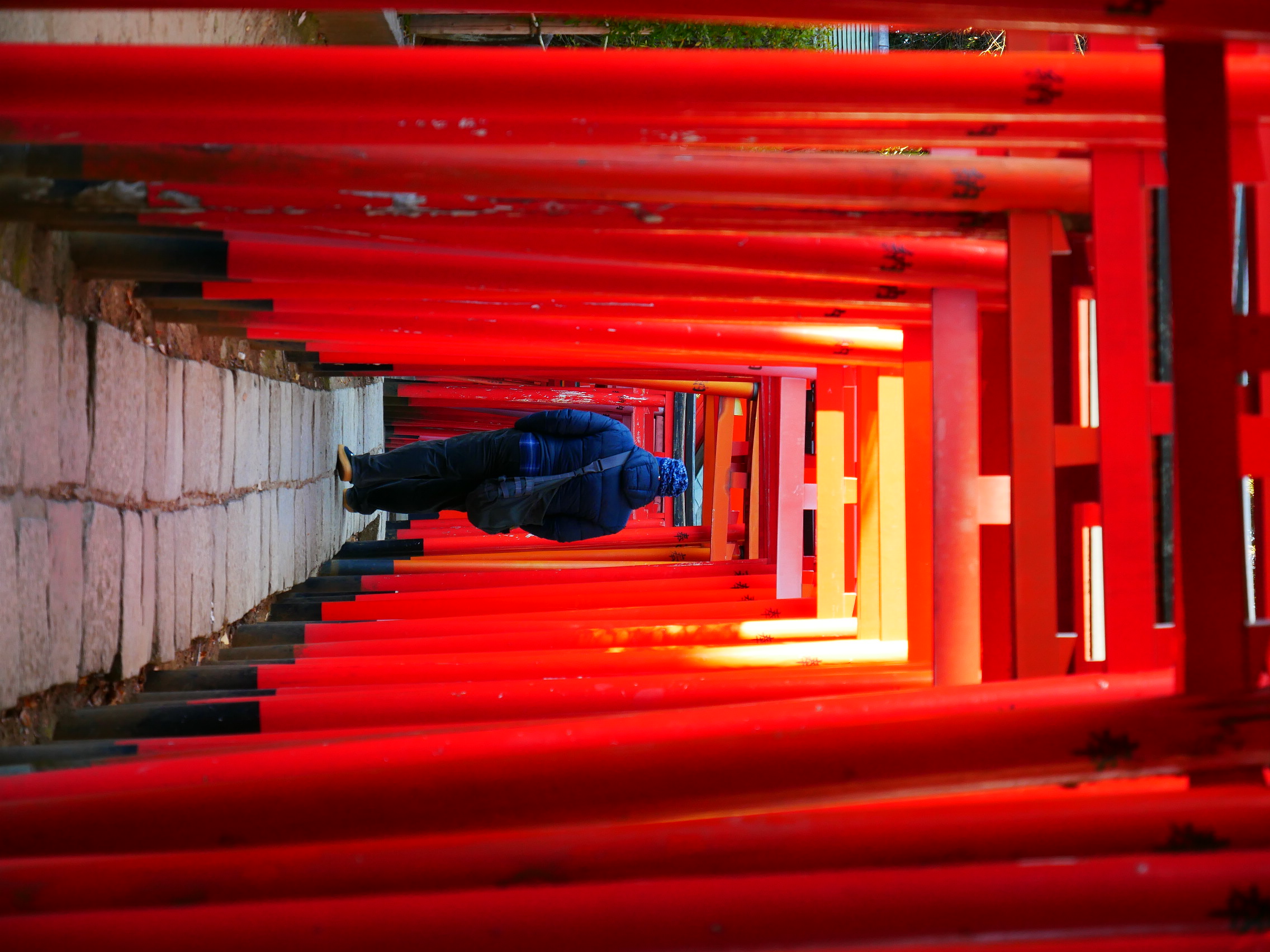 A Stroll Through the Torii Gates