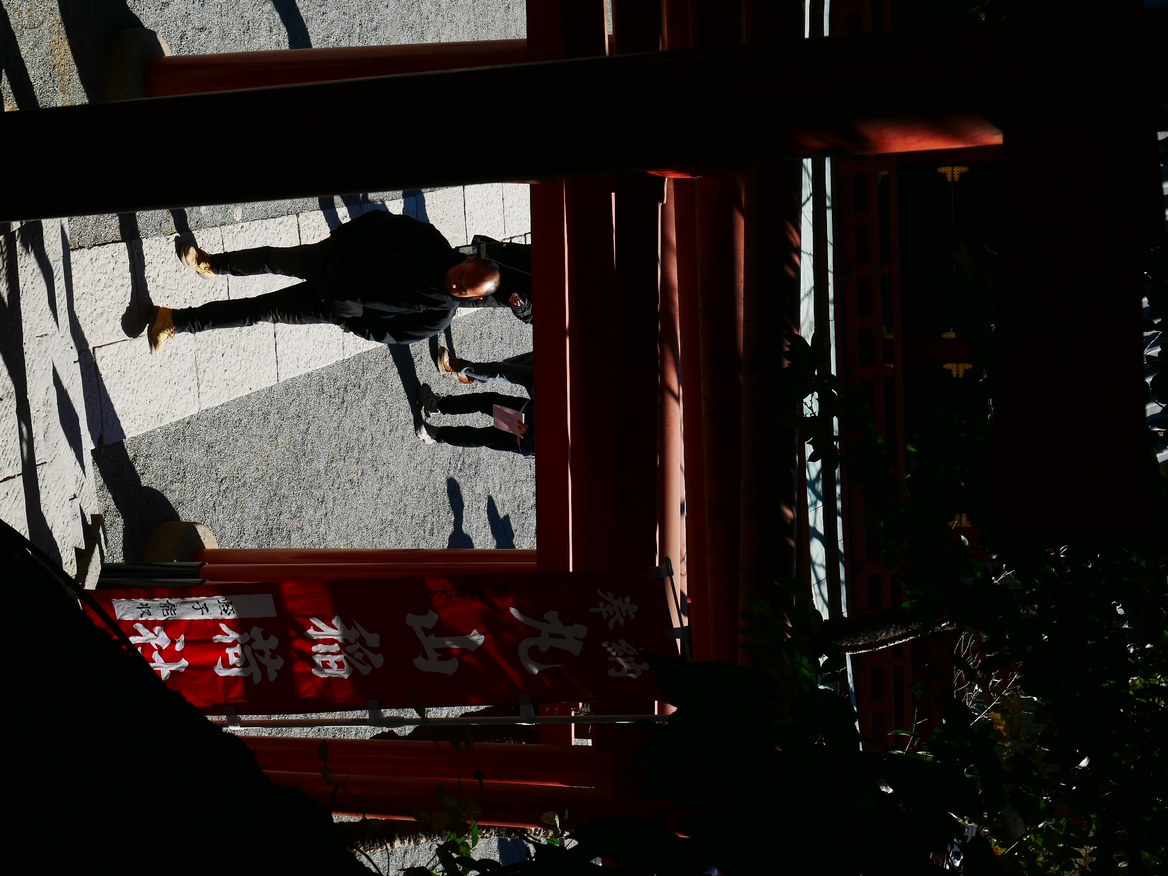 Shadowy Torii